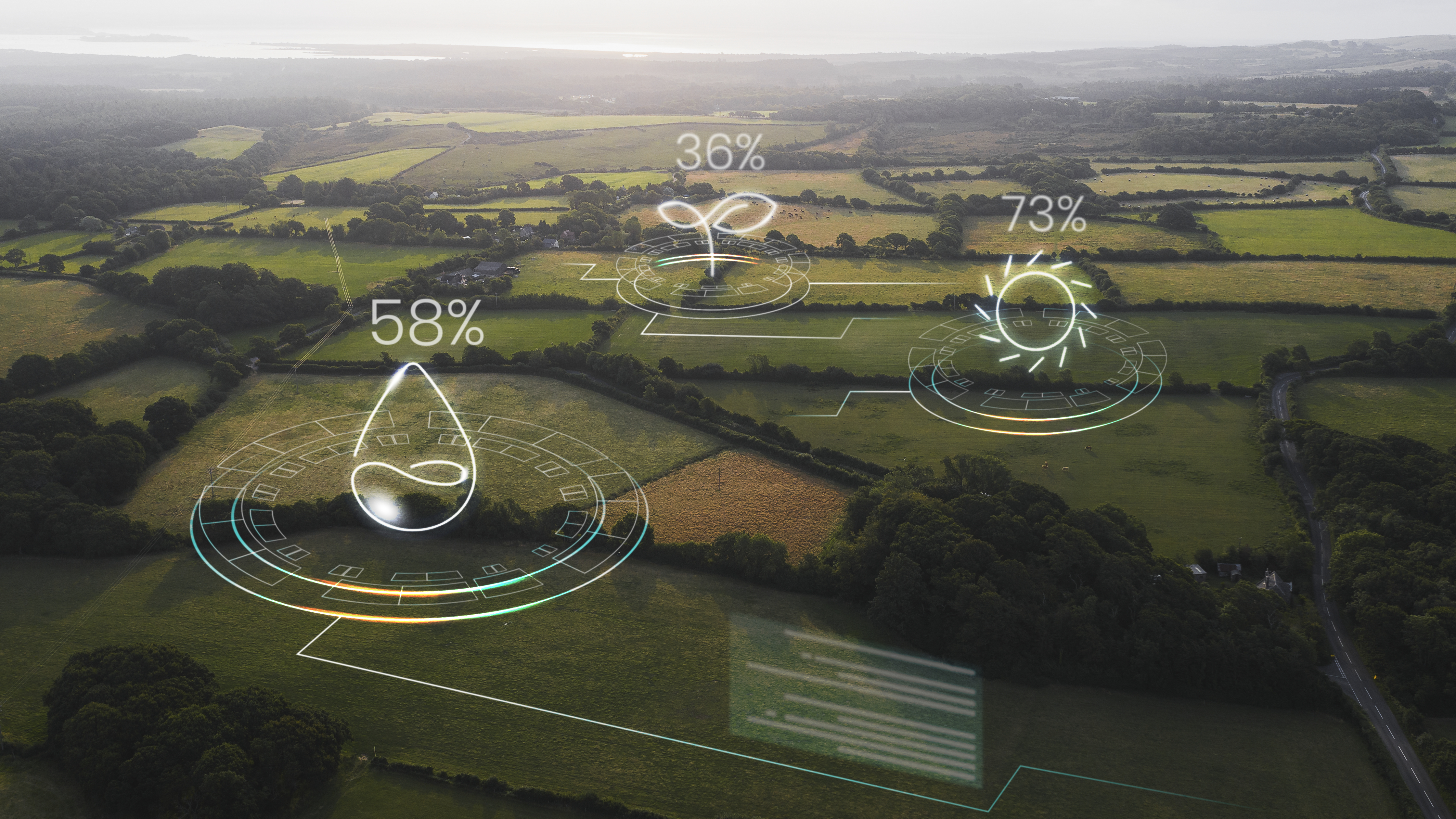 Environmental data visualization