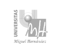 Miguel Hernández University